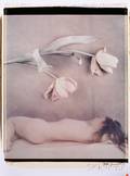 Joyce Tenneson American b 1945 Sleeping Beauty and Flowers