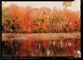 Frank Gohlke American b 1942 The Sudbury River Ashland Massachusetts September 1989