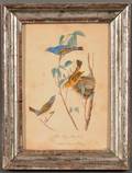 American School Late 19th Century After John James Audubon American 17851851 Blue Song Grosbeak