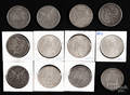Twelve Morgan silver dollars