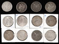 Thirteen Morgan silver dollars