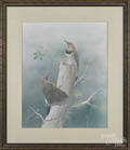 John ONeill bird print