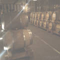 Beaucastel