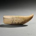 Large Scrimshaw Whales Tooth