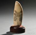 Scrimshaw Whales Tooth