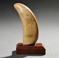 Scrimshaw Whales Tooth