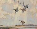 Reveau Mott Bassett American 18971981 Ducks in Flight