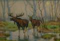 Georges Frederic Rtig French 18731961 Moose Wading in a Stream
