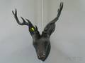 Cast Bronze Stag Head Wall Mount