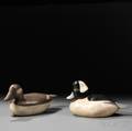 Two Bufflehead Decoys