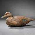 Black Duck Decoy