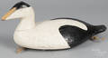 Carved and painted eider duck decoy