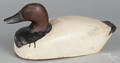 Susquehanna River carved and painted canvasback duck decoy