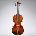 Student Violin