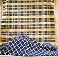 Two Blue and White Woven Geometric Pattern Coverlets