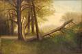 American School 19th Century Landscape with Fallen Tree