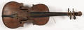 Tiger maple violin with carved lion scroll