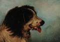 AngloAmerican School 19th20th Century Portrait Head of a Collie