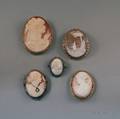 Five Silver and Goldframed Shellcarved Cameo Brooches