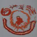Group of Coral Jewelry