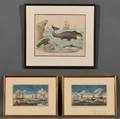 Three Whaling Prints A WHALE swimming with great Force  Celerity