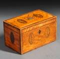 Inlaid Satinwood Veneer Tea Caddy