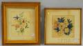 Two Framed 19th Century Floral Watercolors
