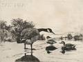 Frank Weston Benson American 18621951 Goose and Teal