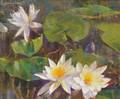 Laura Coombs Hills American 18591952 Water Lilies