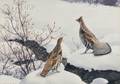 Aiden Lassell Ripley American 18961969 Grouse and Winter Food