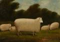 AngloAmerican School 19th Century Sheep in a Pastoral Landscape