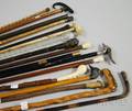 Collection Walking Sticks and Canes