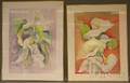 Denise Schwander Swiss b 1945 Four Works Hibiscus Amaryllis Lilies and Calla Lilies