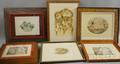 Twelve Framed Carol Lummus Etchings