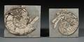 Two Ammonites