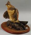 Robert and Virginia Warfield Carved and Painted Wood Ruffled Grouse drumming Bird Figure
