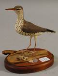 Robert and Virginia Warfield Carved and Painted Wood Spotted Sandpiper Bird Figure