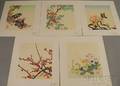 Five Unframed Japanese Botanical Woodcuts Attributed to Nisaburo Ito Japanese 19101988 Crepe Myrtle Nandin Plum Blossoms