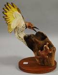 Robert and Virginia Warfield Carved and Pained Wood Yellowshafted Flicker and young Red Squirrel Figural Group