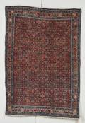 Bidjar Rug
