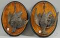 Pair of European Cast Metal Game Birdmounted Partebonized Walnut Plaques