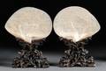 Pair of MotherofPearl Carved Shells
