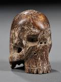 Fossilized Ivory Skull