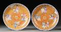 Pair of Porcelain Plates