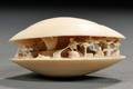 Ivory Shell