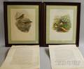 Pair of J Gould  HC Richter Handcolored Lithograph Ornithological Prints