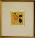 JapaneseAmerican School 20th Century Persimmon on a Branch