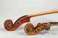 Two Cello Scrolls
