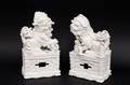 Pair of Chinese Blanc de Chine Foo Dogs