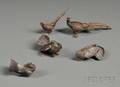 Five Austrian Coldpainted Bronze Figures of Birds